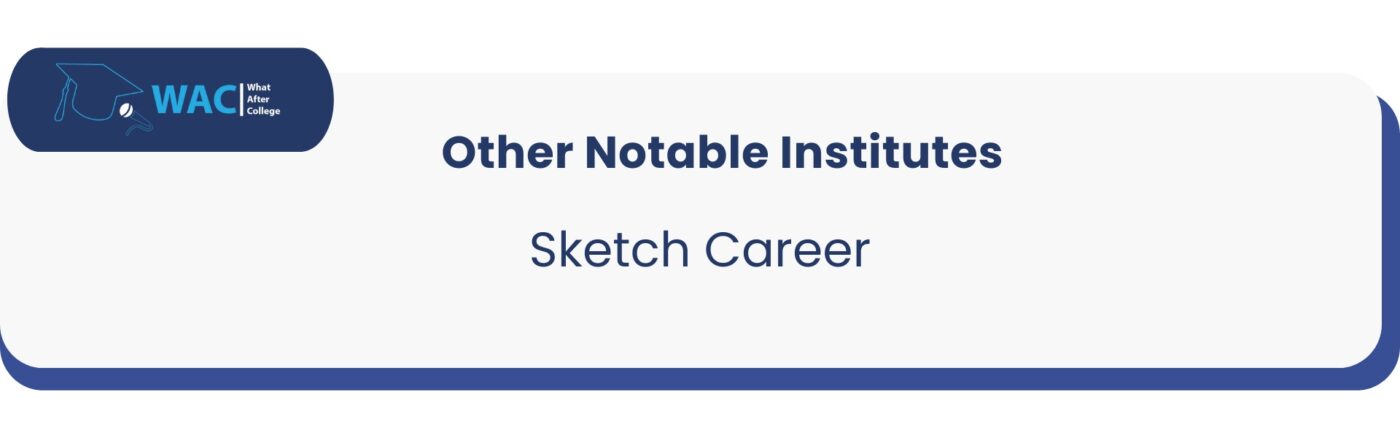 Other: 1 Sketch Career